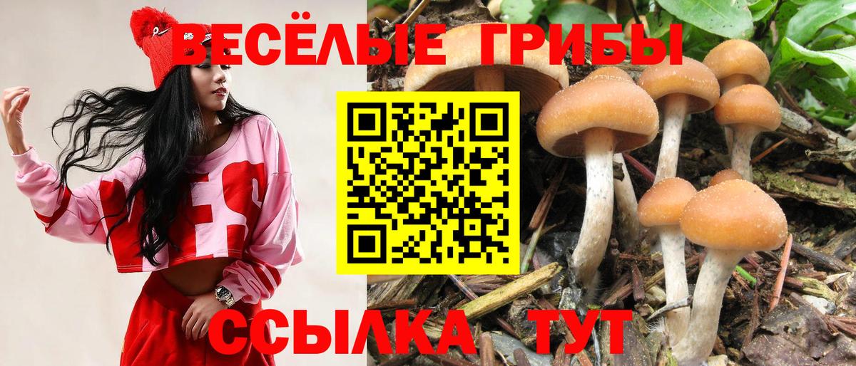 Псилоцибиновые грибы MAGIC MUSHROOMS Архангельск